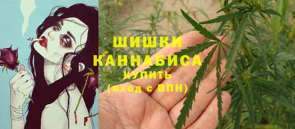 прущие грибы Арсеньев