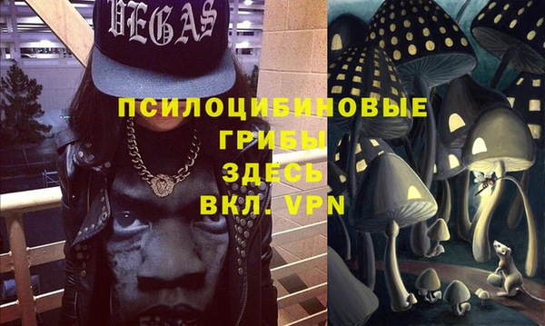МДПВ Армянск